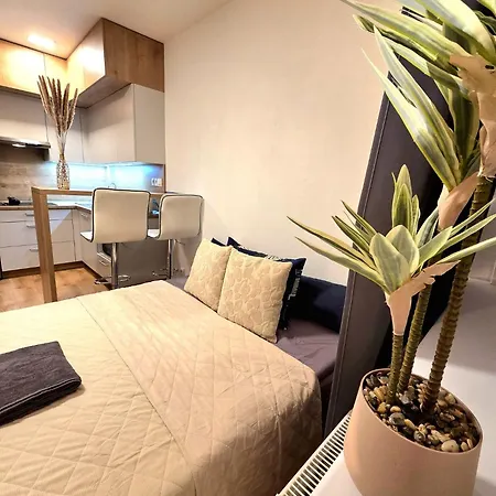 Apartmán Ruzinov *