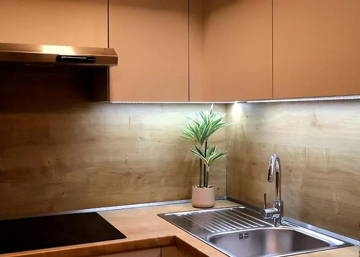 Appartement Ruzinov *